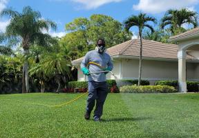 Lawn and Weed Control