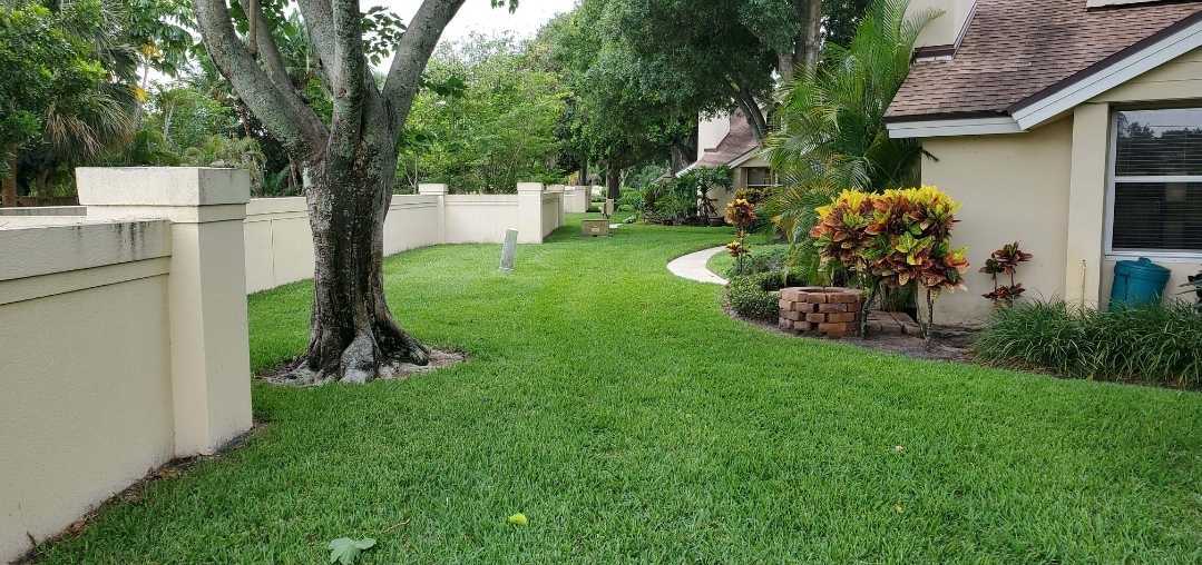 Great work from lawn maintenance in West Palm Beach