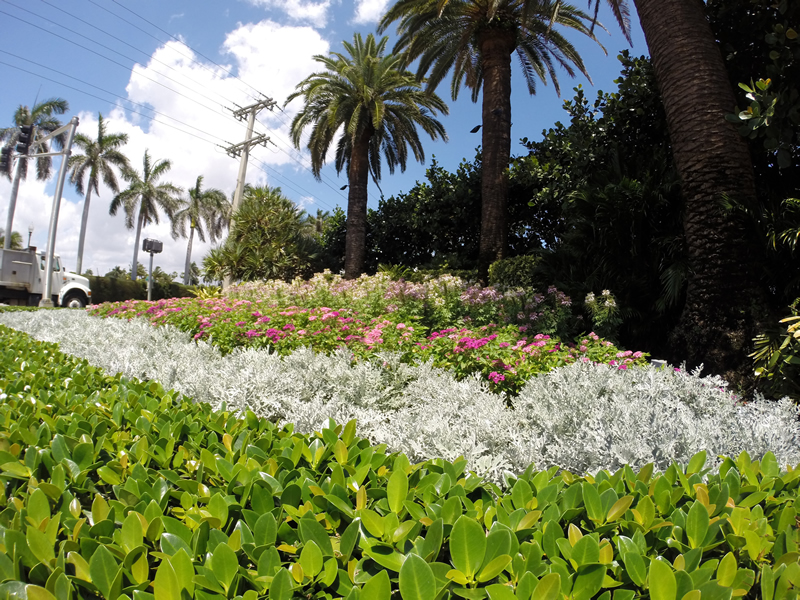 Landscape Design and Landscape Maintenance in West Palm Beach Florida
