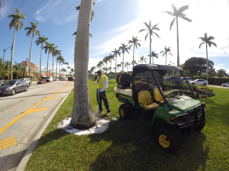 Residential Landscape Design and Maintenance Fort Lauderdale Florida