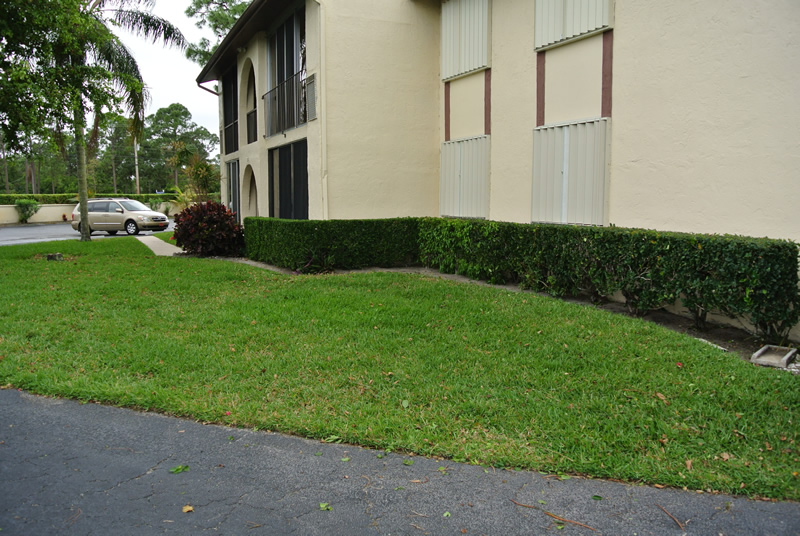 Residential Landscape Design and Maintenance Lantana Florida