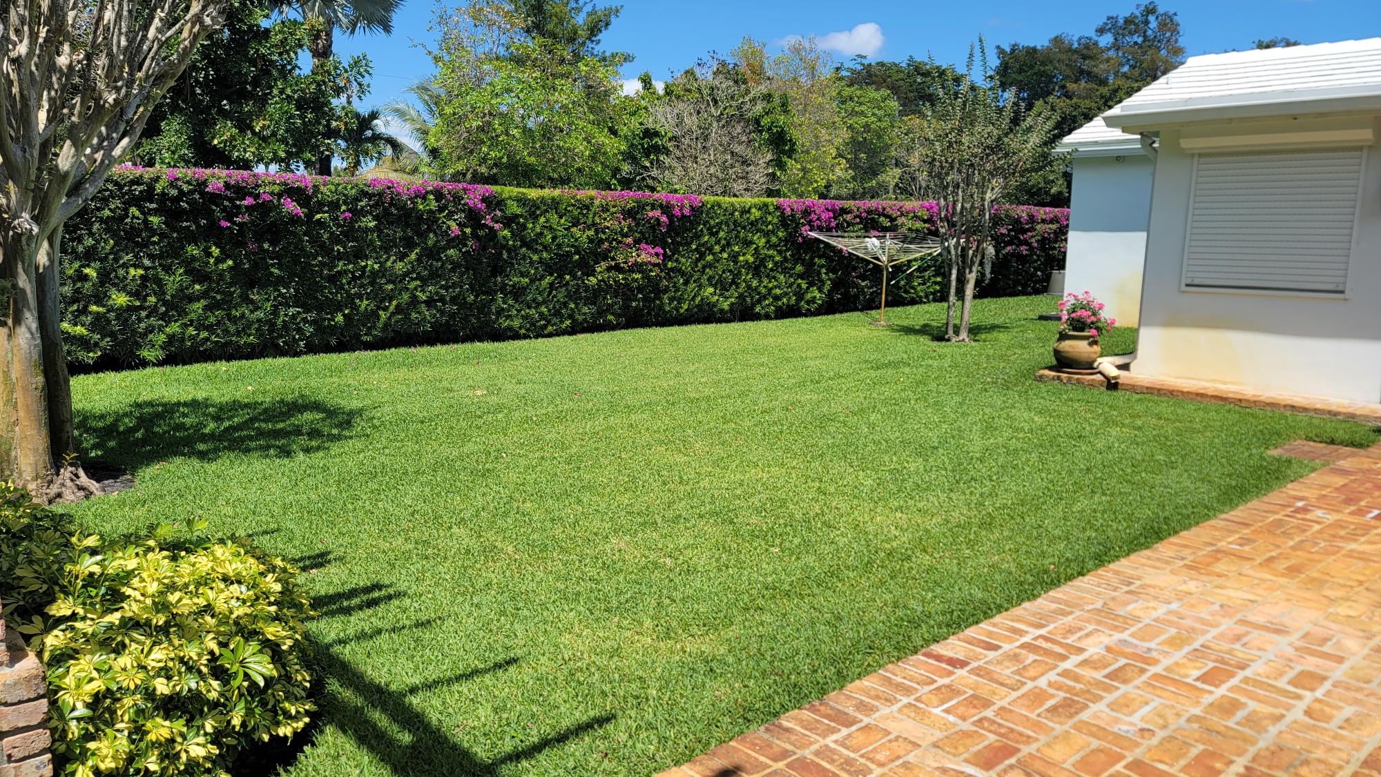 lawn fertilization in west palm beach is essential for a beautiful, healthy lawn