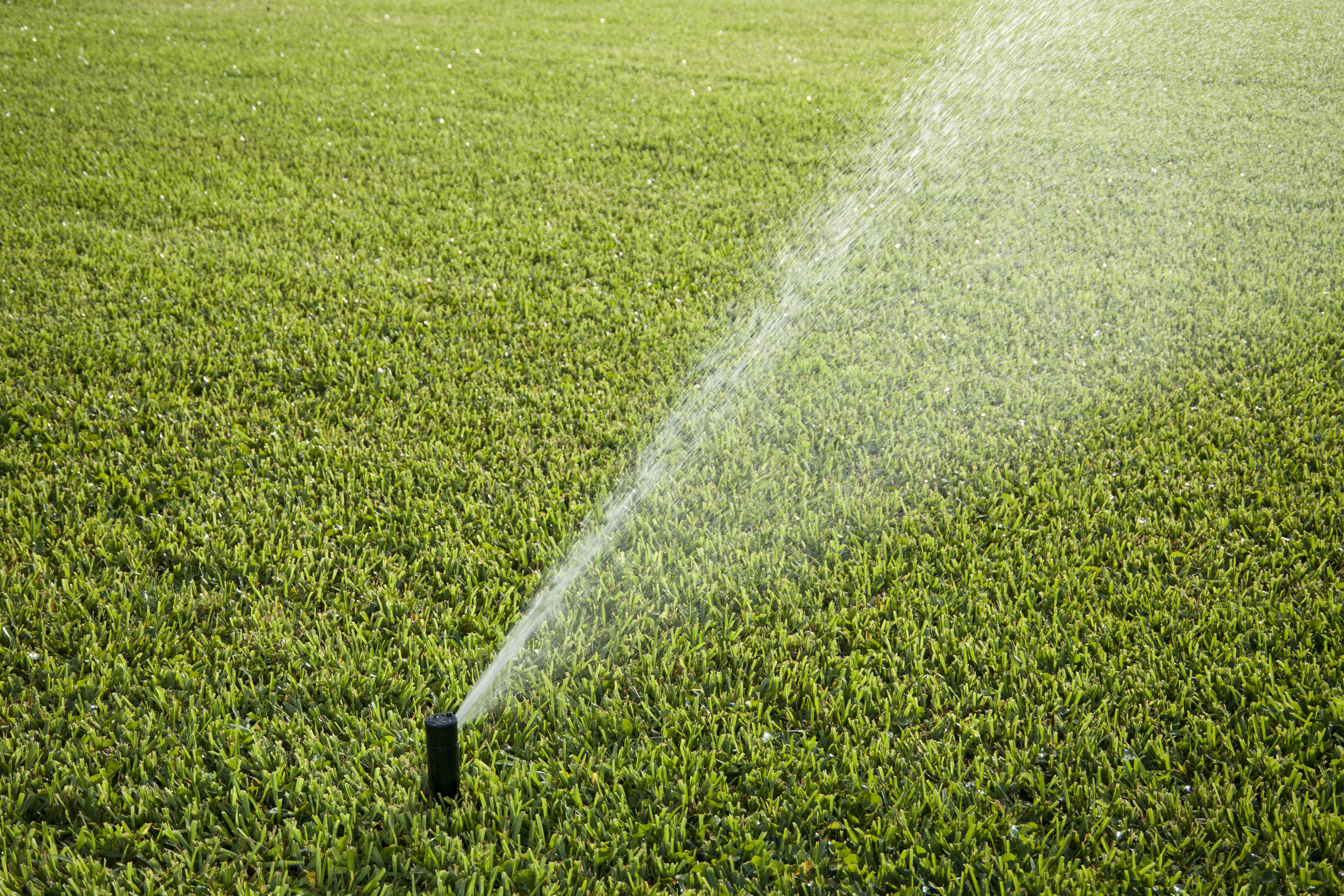 sprinkler watering the lawn during Lawn Maintenance Services West Palm Beach
