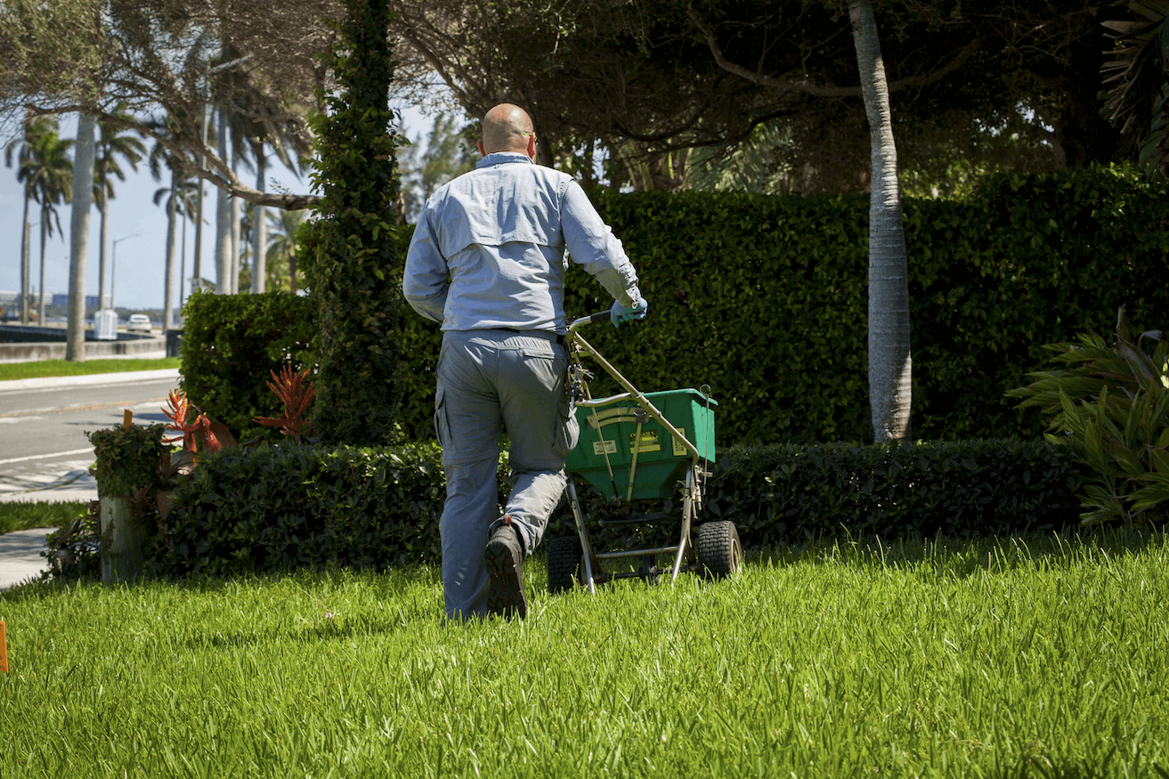 lawn fertilization west palm beach