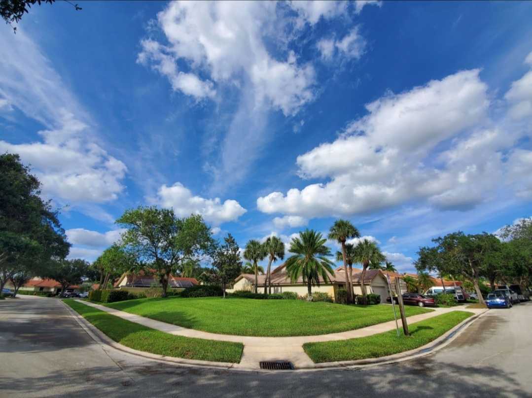 Tree Trimming in West Palm Beach