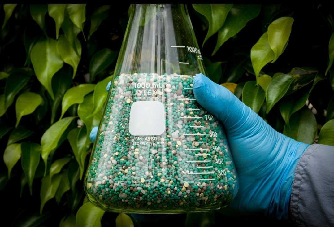 concept of Lawn Fertilization in West Palm Beach