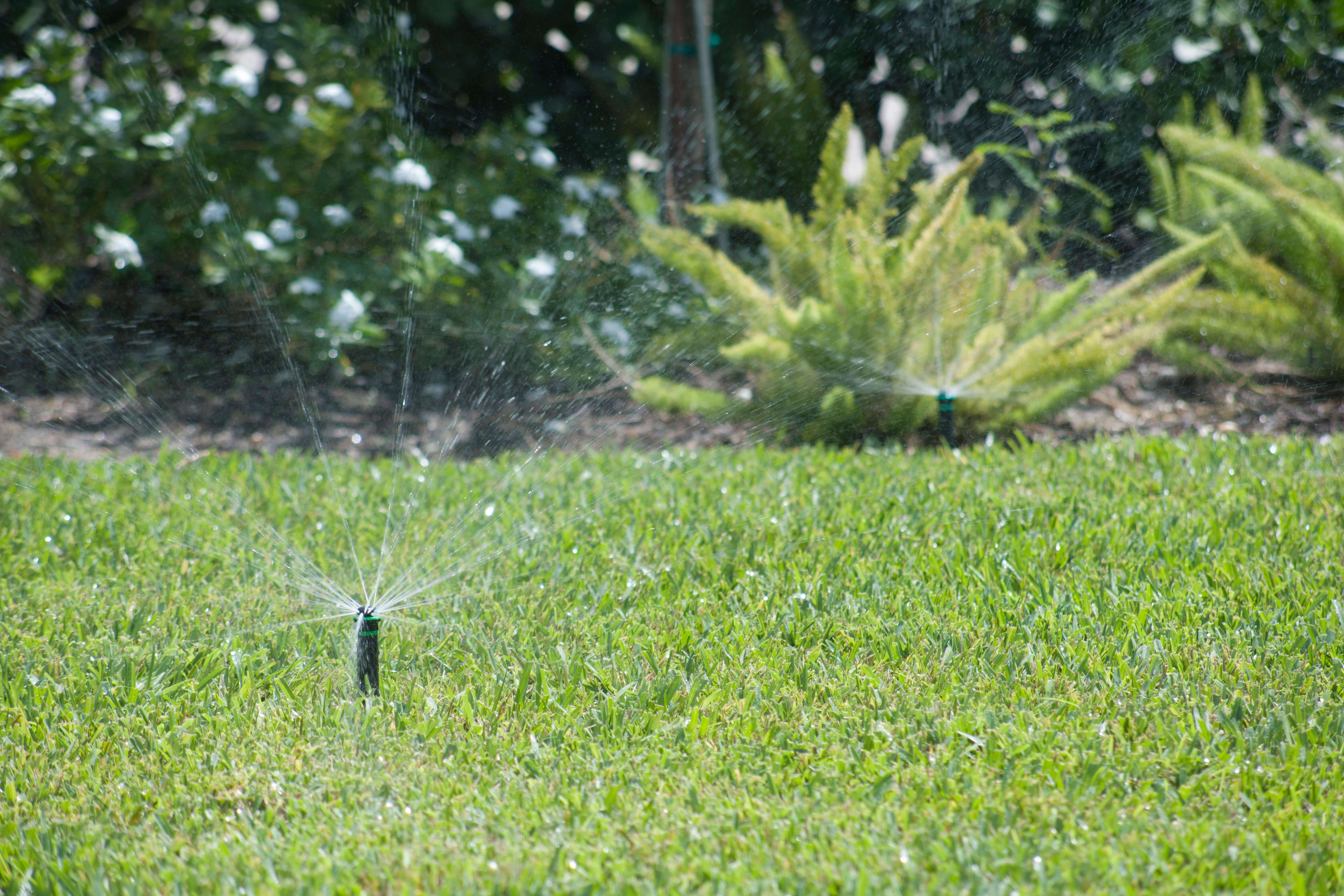 healthy-grass-after-Sprinkler-Repair-West-Palm-Beach 