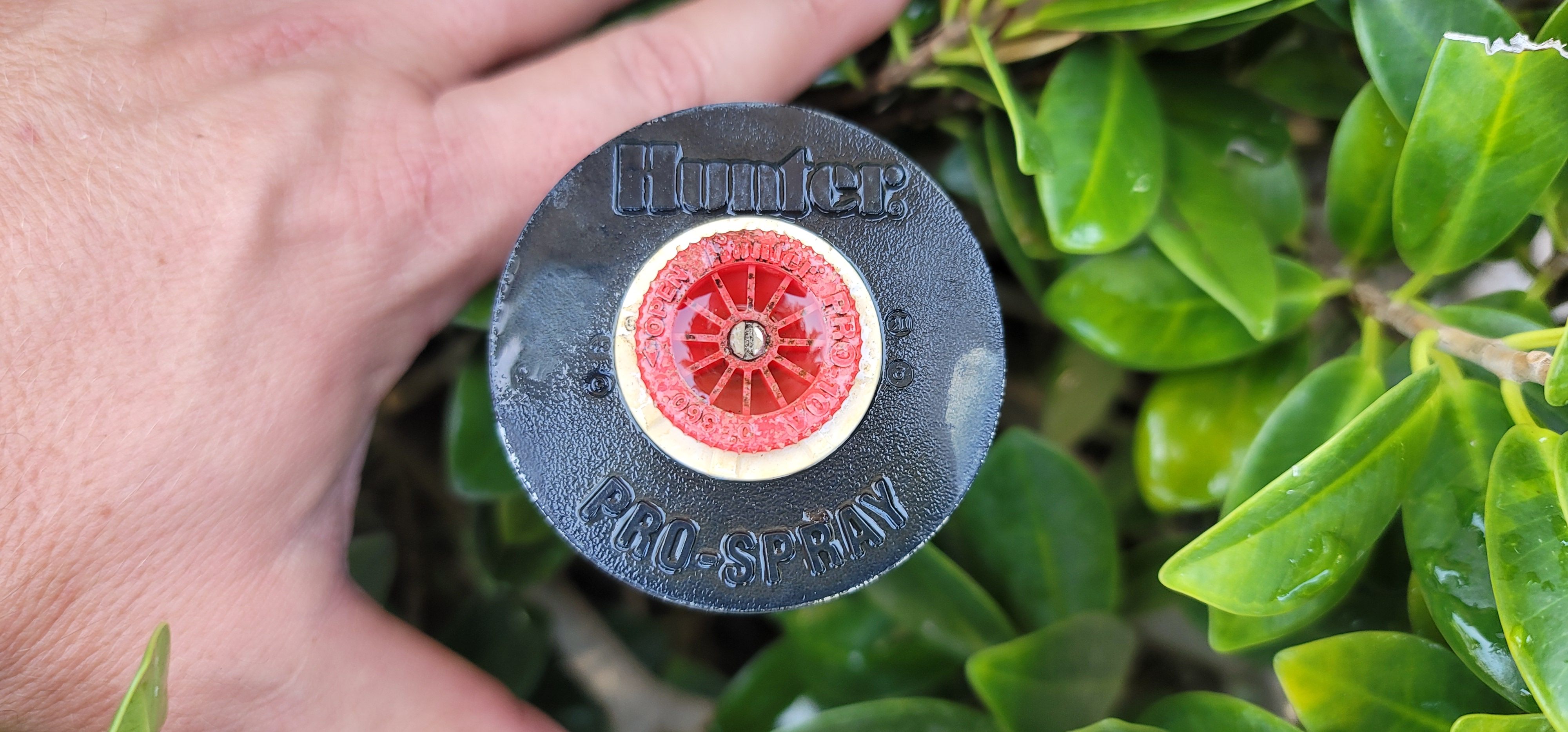 man turning on irrigation and Lawn Maintenance Services West Palm Beac