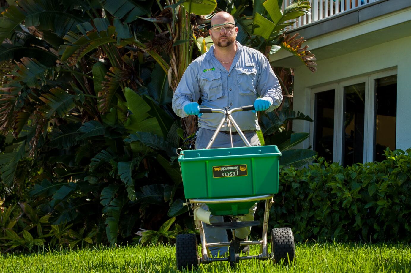 lawn maintenance west palm beach