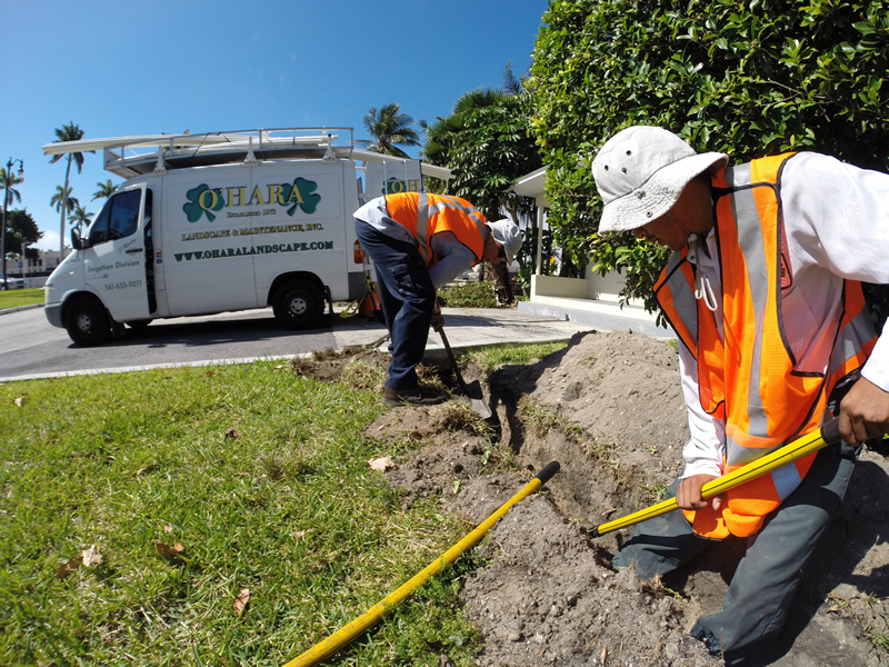 Lawn Irrigation West Palm Beach