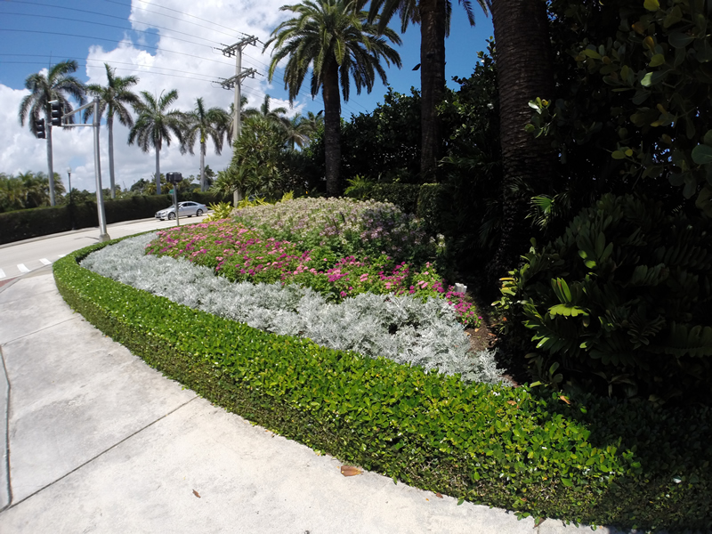 Lake Worth Sprinkler Clock