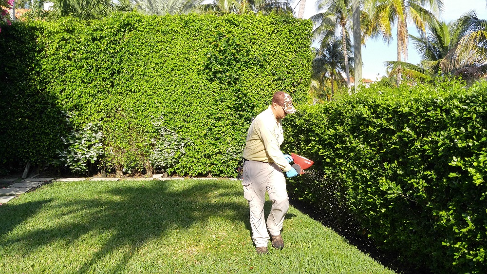 Landscape Maintenance South Palm Beach Weed Control