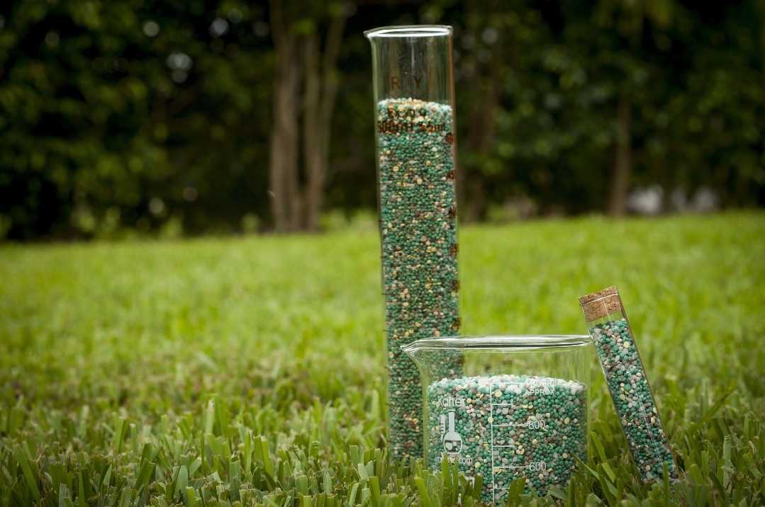 Your grass maintained by lawn maintenance in West Palm Beach