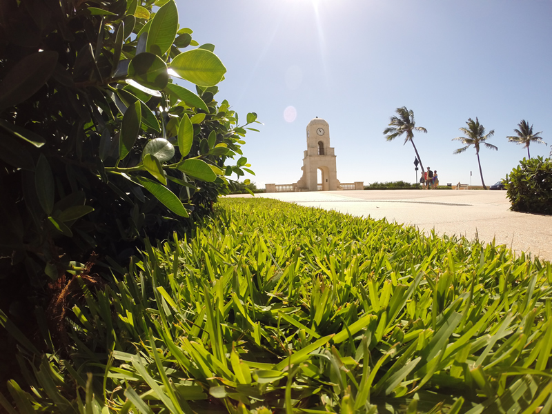 Beautiful style with Florida Lawn maintenance