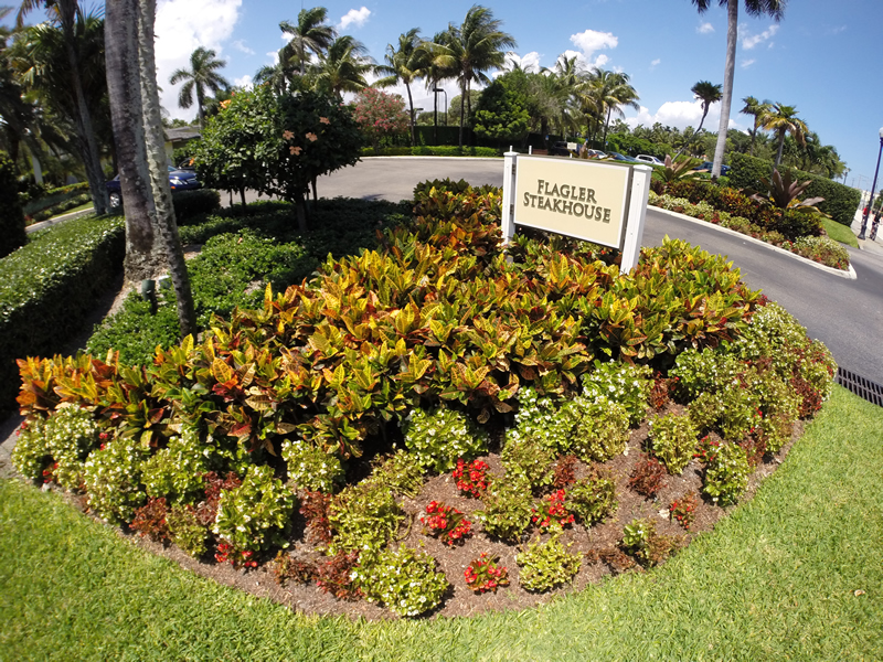 GOPR0244