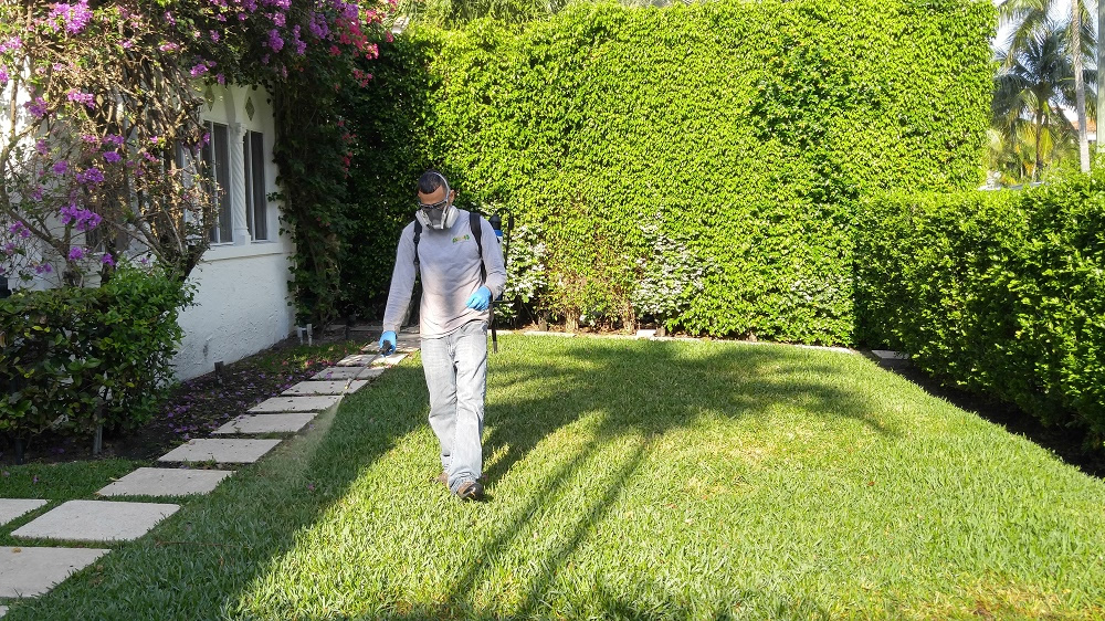 Lawn Disease Care Manalapan