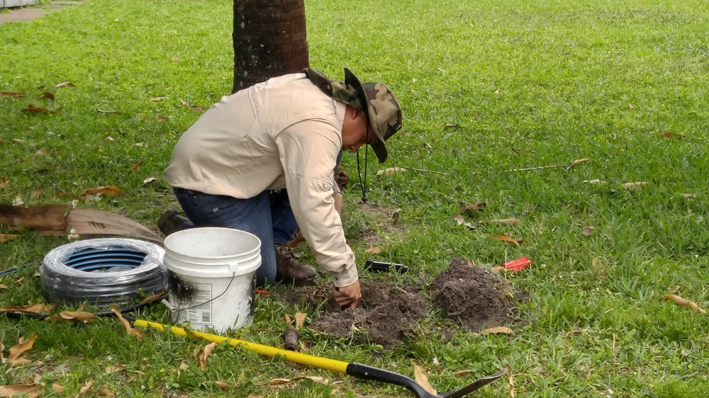 Lawn Care Lawn Maintenance Palm Beach Point 