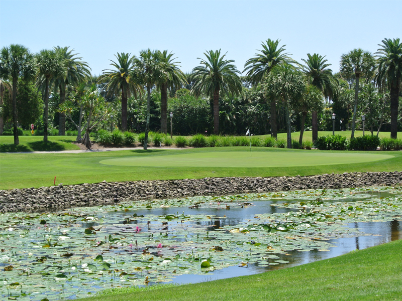 Sprinkler Repair West Palm Beach - West Palm Beach Sprinkler Repair