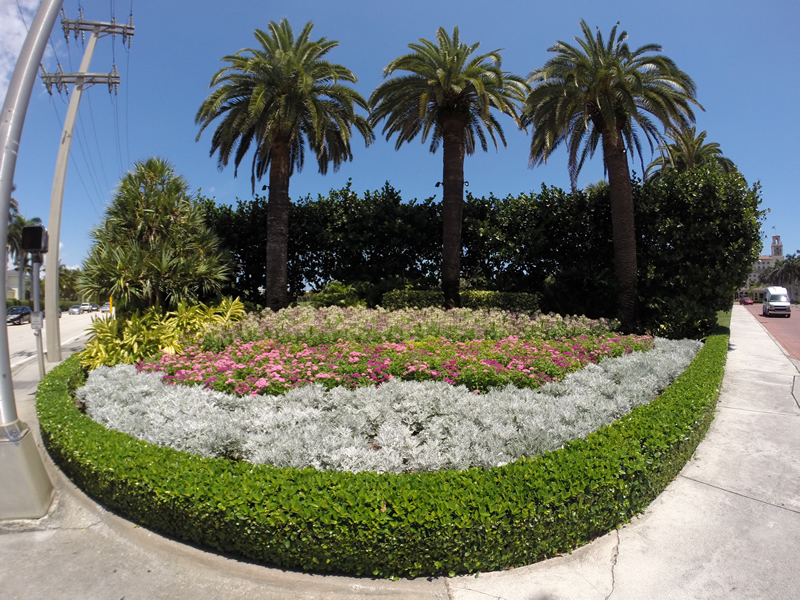 Landscape Design and Landscape Maintenance in Lake Worth Florida