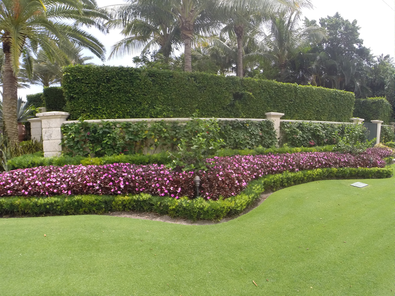 Royal Palm Beach Florida Residential Landscaping